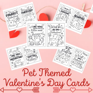 Pet Themed Valentines Day Cards FB